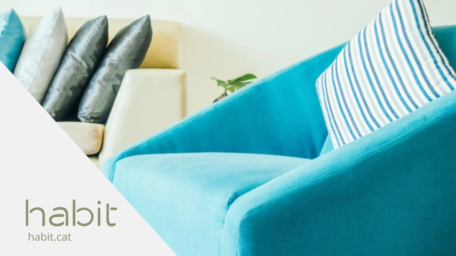 Sofá curvo y mesa redonda en salón de diseño compacto